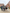 A group of coworkers posing together in front of a historic dockyard and brick buildings.